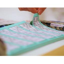 go-bingo-tickets-assorted-colours-pack-of-450-[2]-9120-p.jpg