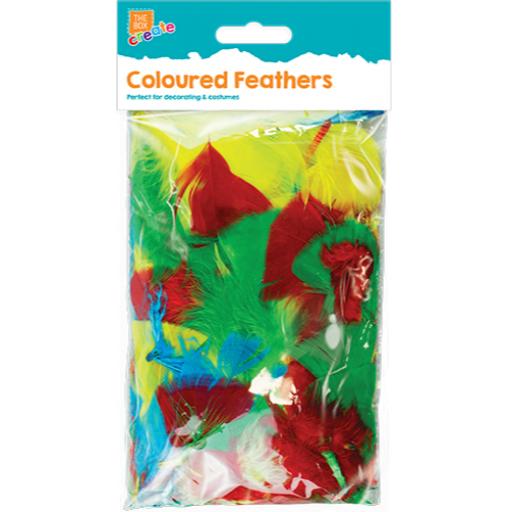 The Box Assorted Coloured Feathers