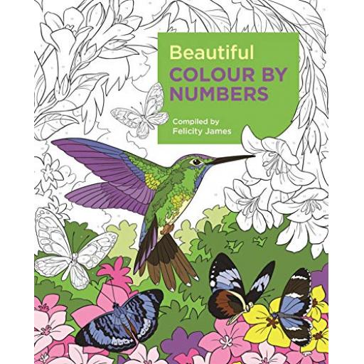 Beautiful Colour by Numbers Colouring Book