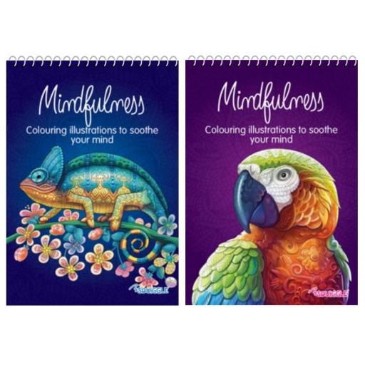 Squiggle Mindfulness Spiral Colouring Books - Set of 2