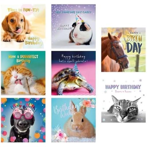 Just to Say Square Mixed Birthday Cards & Envelopes, Assorted Pet Designs - Box of 8