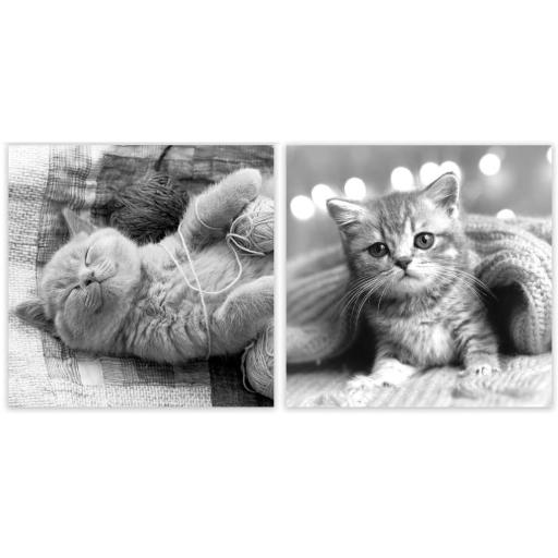 Tallon Square Notecards Pet Portraits Cats - Pack of 8